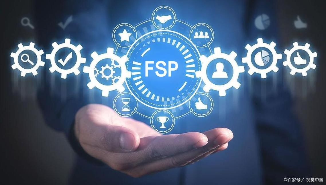 Functional Service Provider (FSP) Services
