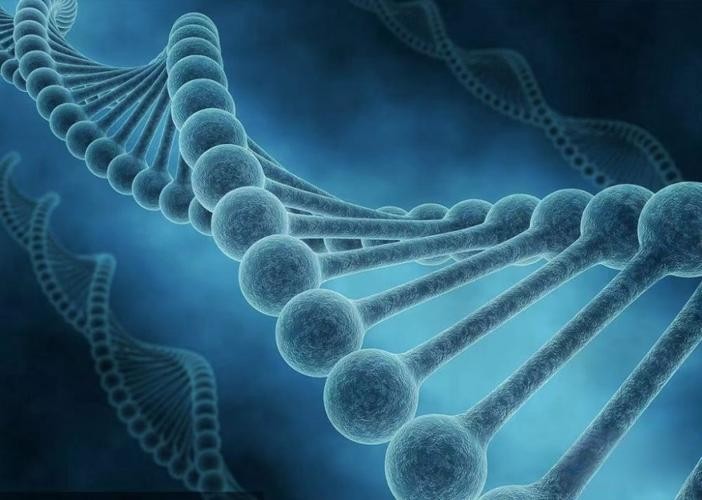 Global Biometrics Excellence: A Decade-Long Partnership Driving Pharmaceutical Success