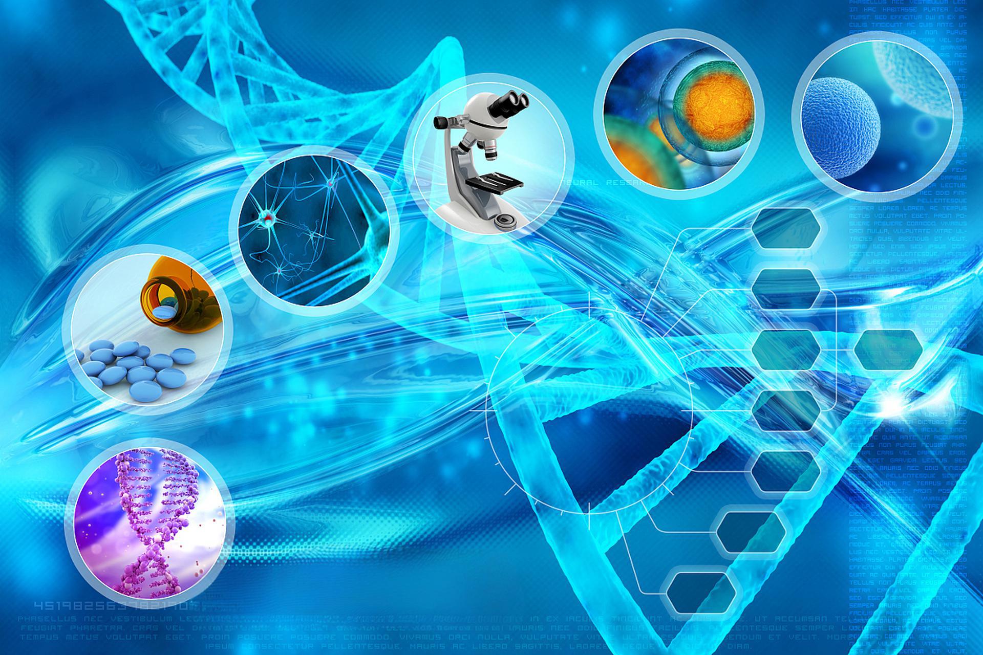Biostatistics Services Biostatistics Services