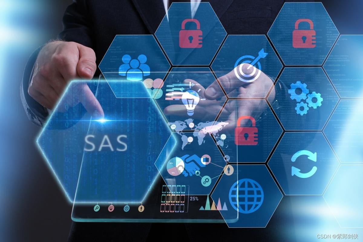 SAS Programming Services